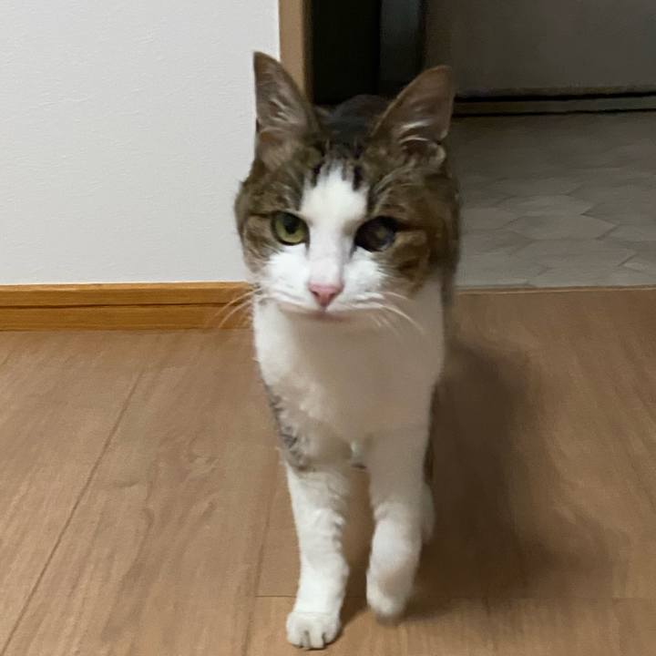 54749377 8b7f 4f53 9ad4 760ea6373746 1591358932857