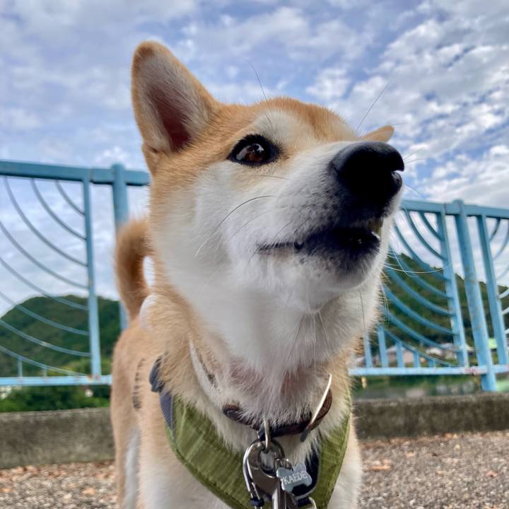 54749fcc b9ec 440d 8529 1fe10918e4f9 1760848896613