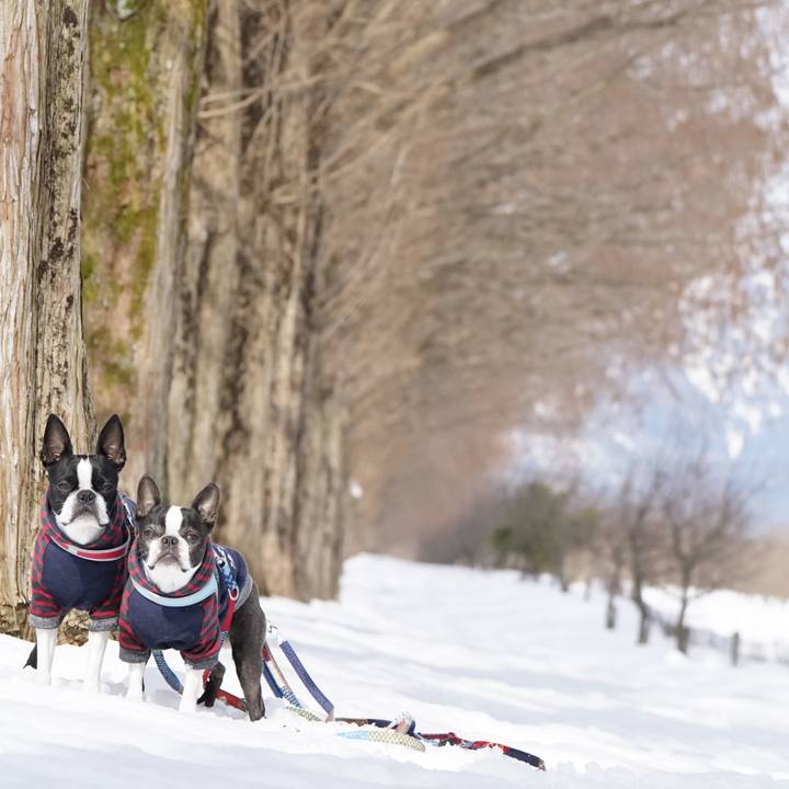 5474a1a7 6602 4cd5 836f 48e8fb611d53 1517630978792