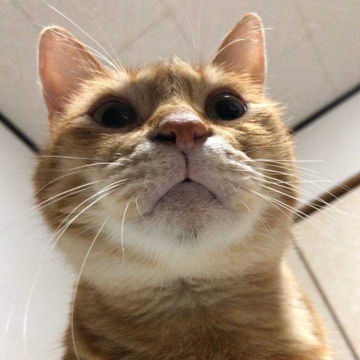 5474fb2d 8760 4dd8 9060 866f3da40c60 1637069247156