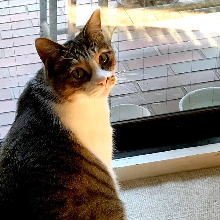 5474fe0a 99c9 4d12 b5a6 21d75b0f7dc3 1541147426335