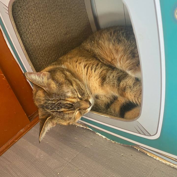 54751f4e 19f9 4b89 93e4 3e5962266b3f 1664070665607