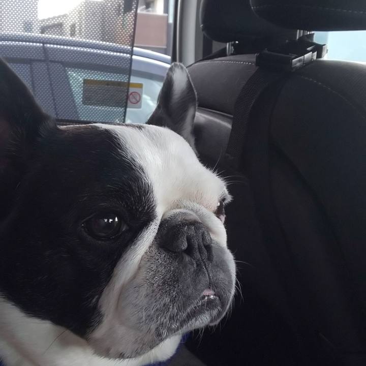 54752b61 7974 4a26 a29b 66dd4b1fe680 1642297054170