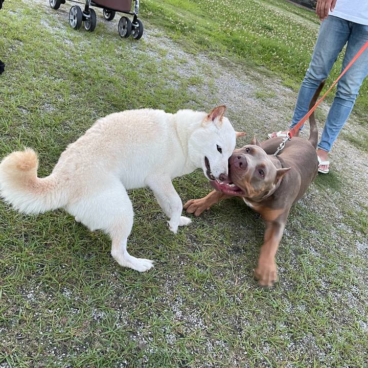 54754256 87e2 42e1 9231 2053a8cb8bcc 1656596557901