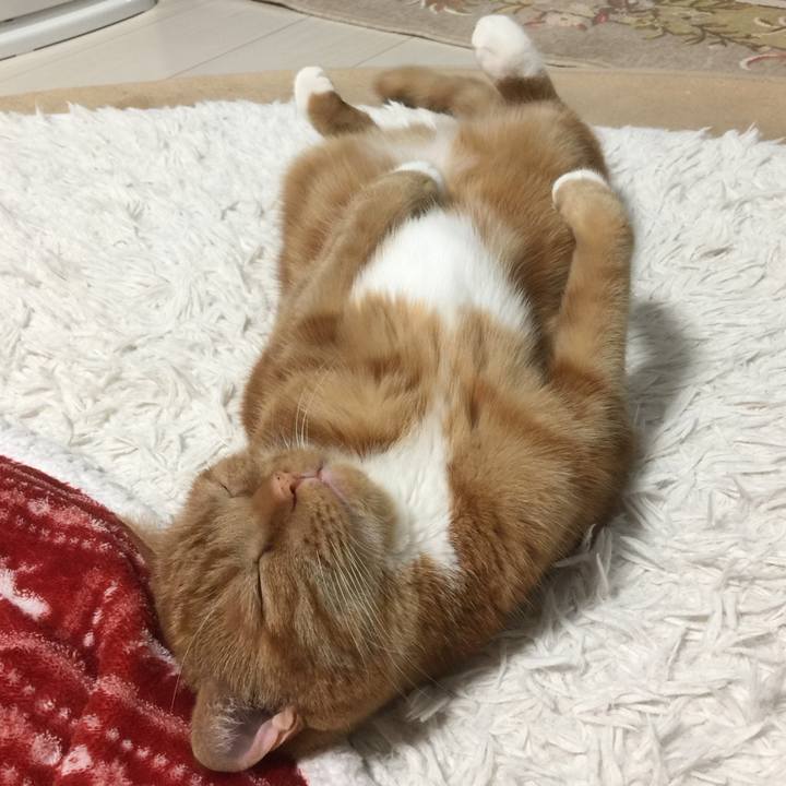 54754990 ce2b 456a a01a 2eb820d0ba9d 1585484723364