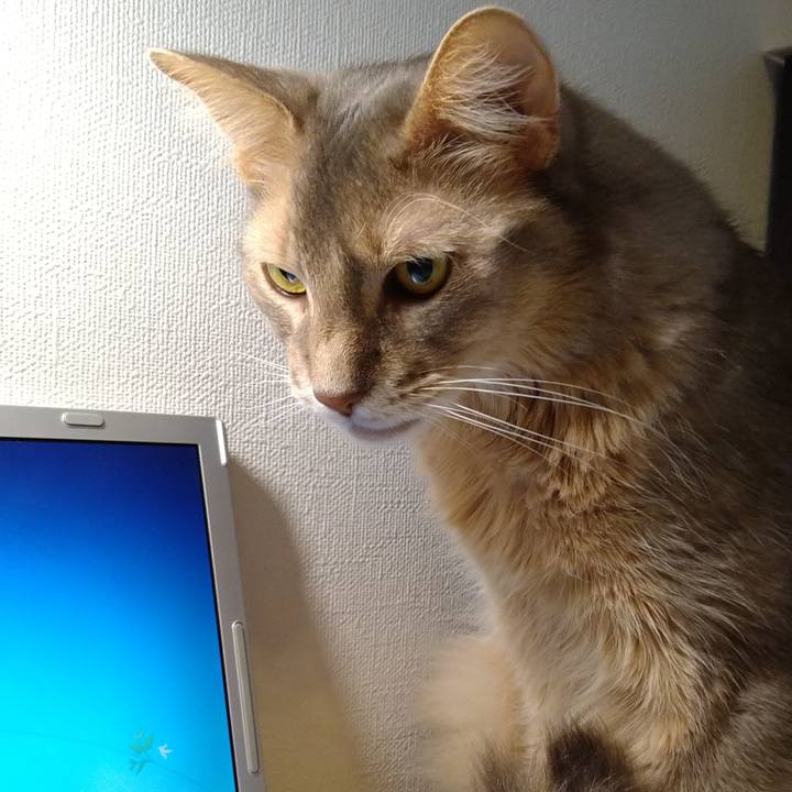 547559b1 c1d5 4671 9b3c dca9ddfb5e2a 1620819483385