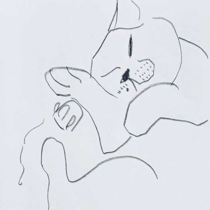 54760cc8 df0c 47c8 b453 8817b77f0cff 1777376662096