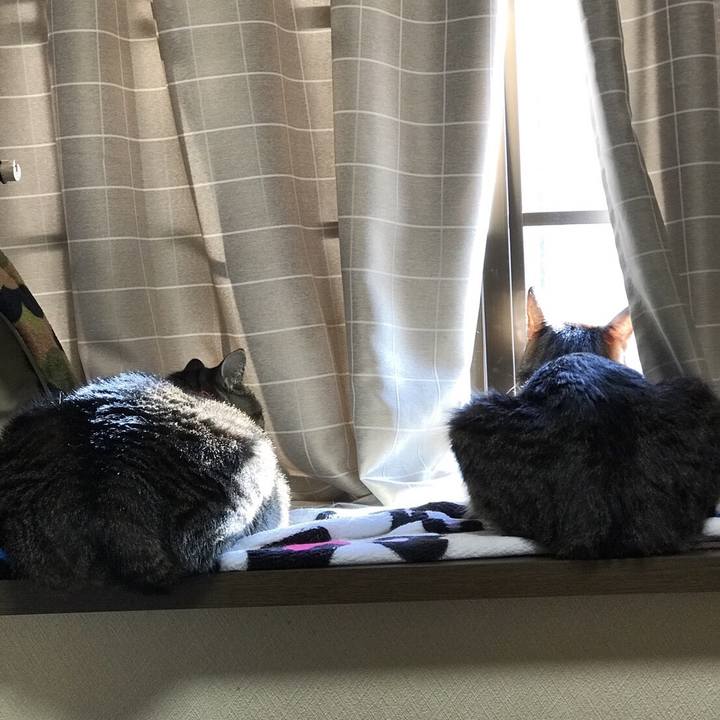 54761b9c 63cf 4481 bc7d c2afe2209d4b 1645484610299