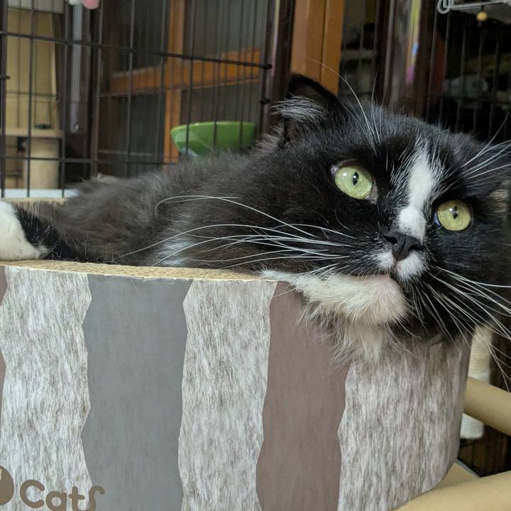 547656ec 868c 45d0 92da e76b25c784ef 1752404303071