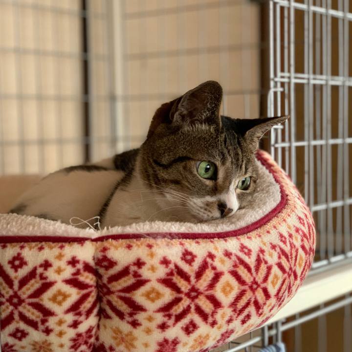 5476ad49 7dc7 4fd8 88d0 ae7259498e40 1590540510706