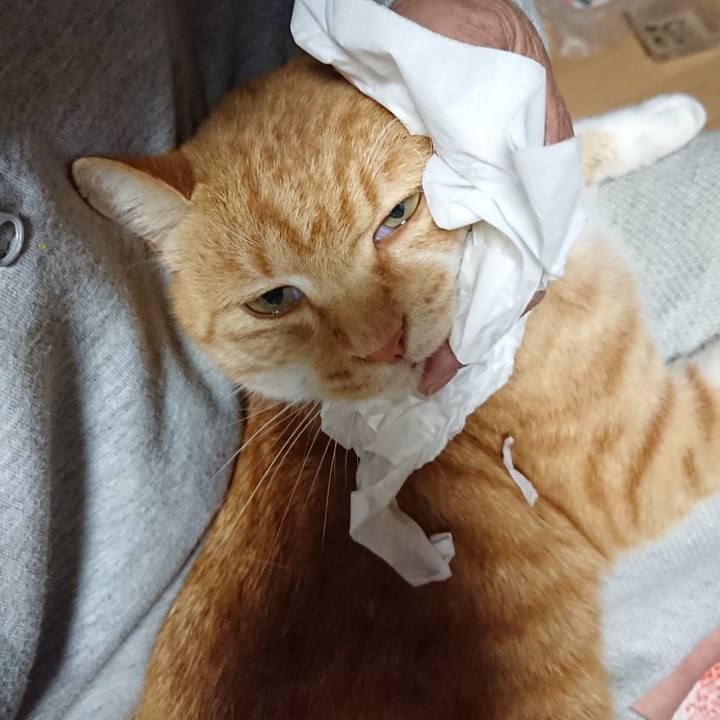 5476bc07 6585 4d9a a741 b64f97fe91d7 1606124133624