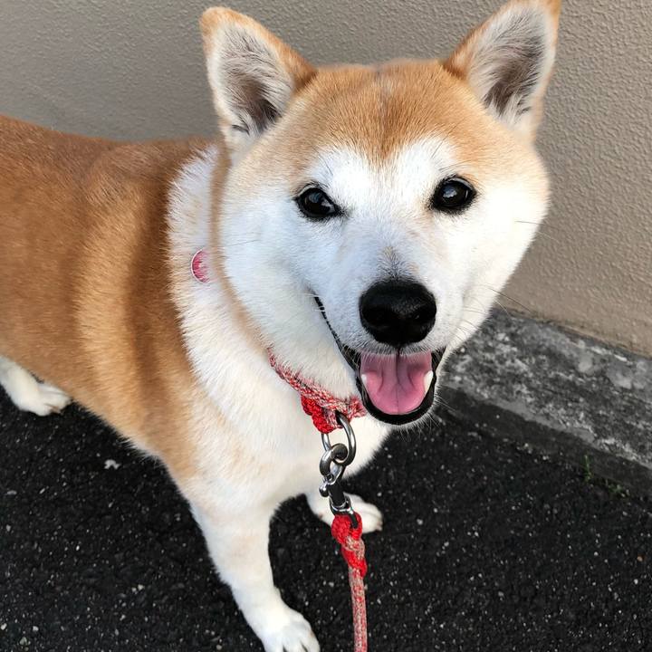 5476f32f 19ae 4793 8ff0 dceaaeb33b43 1651745205448