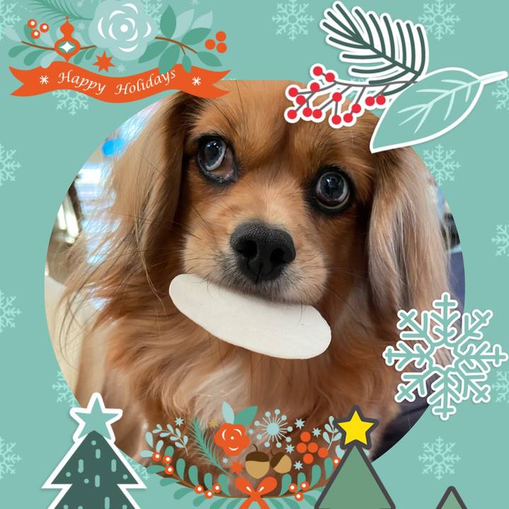 54771967 6259 4a46 abdd a9e5959e4199 1608350145748