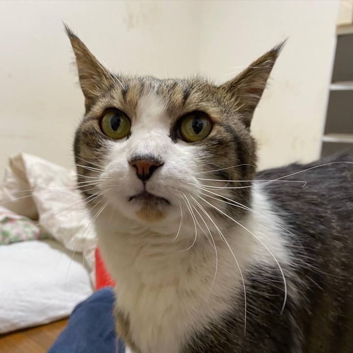 54782d05 842e 43bd a00b 7e541cbe832c 1645703510513