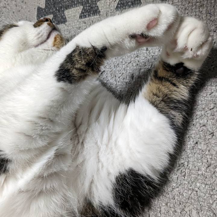 54784807 0c90 4855 b920 a307788fc1d9 1688563043860