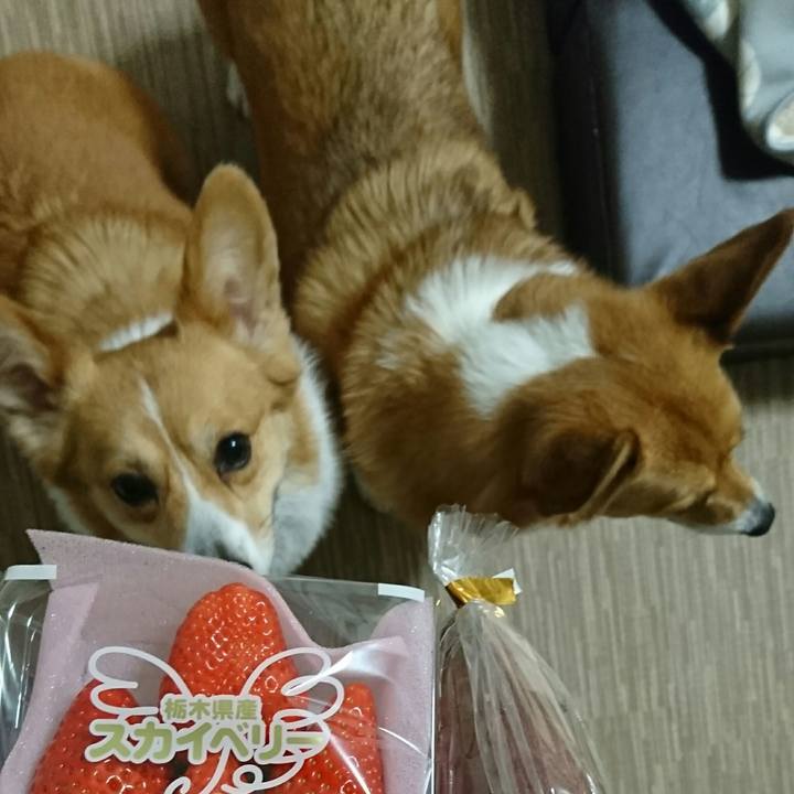 54784ac2 ec59 4e92 9740 e83cc5f830e4 1551753915110