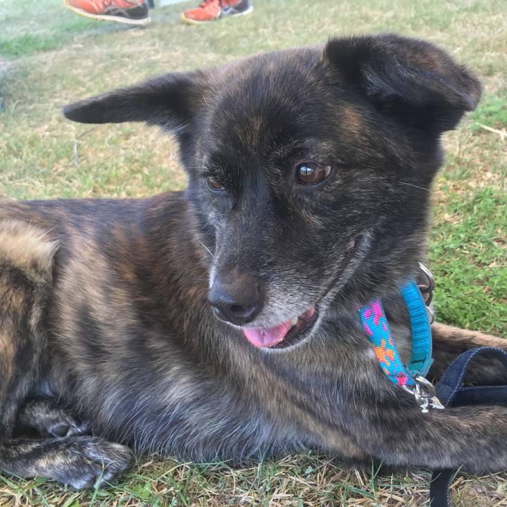 54784c46 5454 4324 90b8 d297da38fb9b 1533360056542