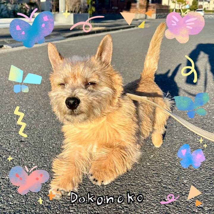 54789c22 f26a 4880 a258 3d4af7ed33c0 1711092972693