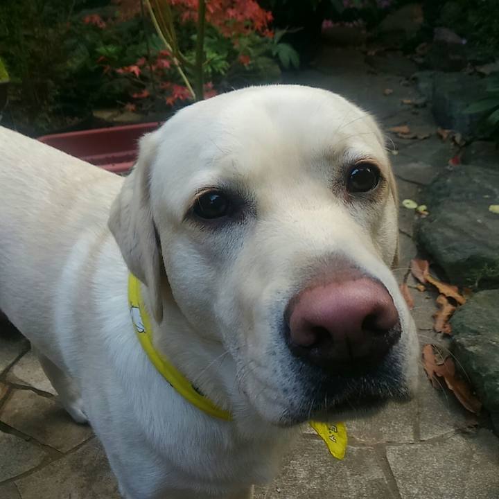 5478bef8 9c7e 461d 9062 b1d7ac06f826 1511852927405