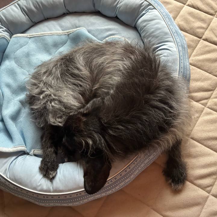 5478dc83 8b21 4b85 bc2a 9930b81cbea5 1750548561405