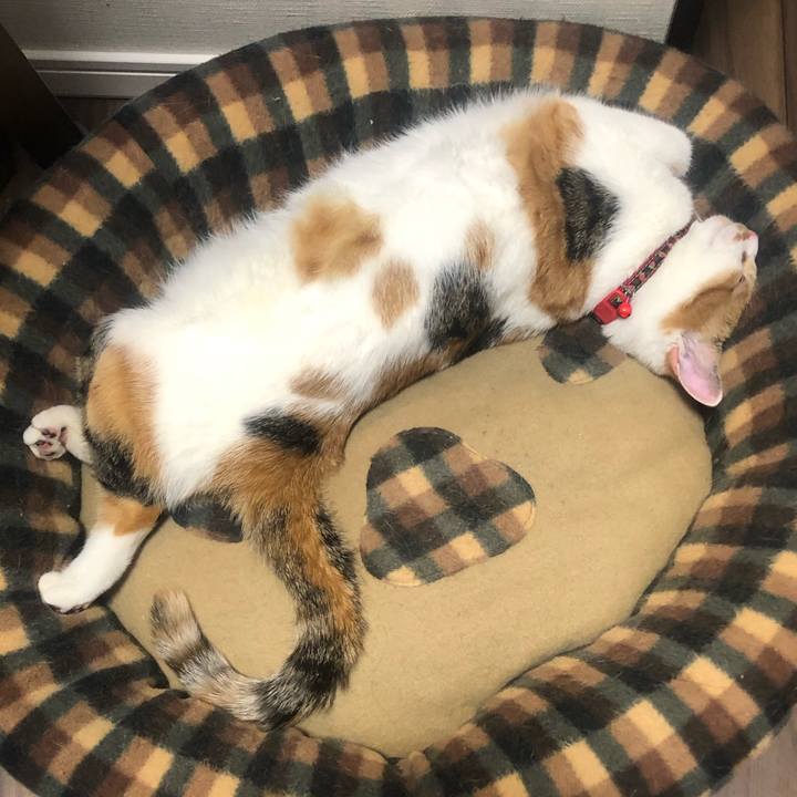 5478e299 b62c 45ad 8c9a 0d2c9a6adb20 1580557965509