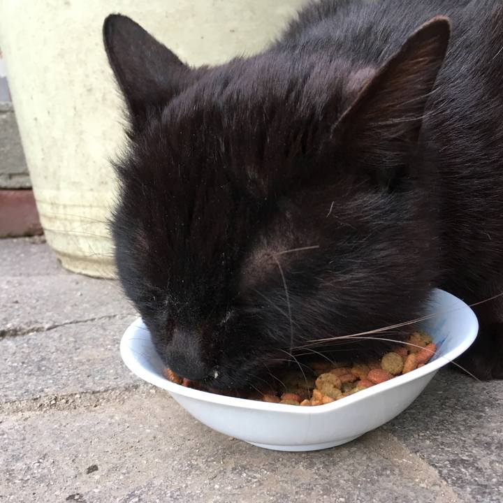 54791e12 b219 4f2c 96f8 f238f657ba52 1526813246411