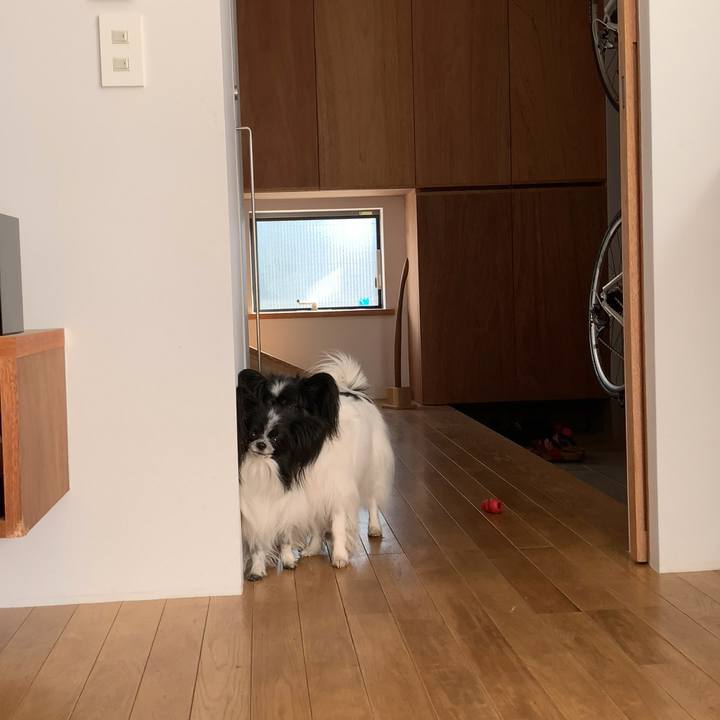 5479227b 32e1 4dbe 9540 b7f3e26df500 1546409754634