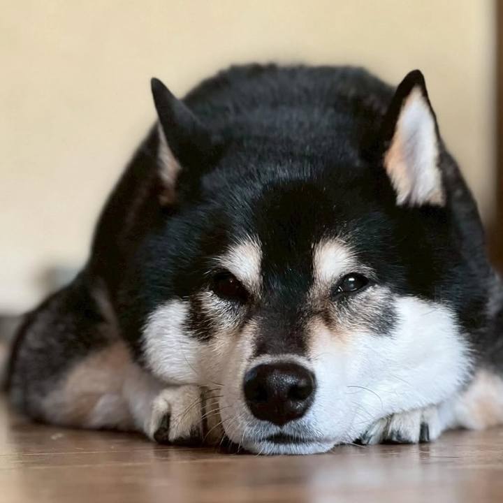 54797ae6 a742 4379 a06b a953f55b3af4 1747637832043