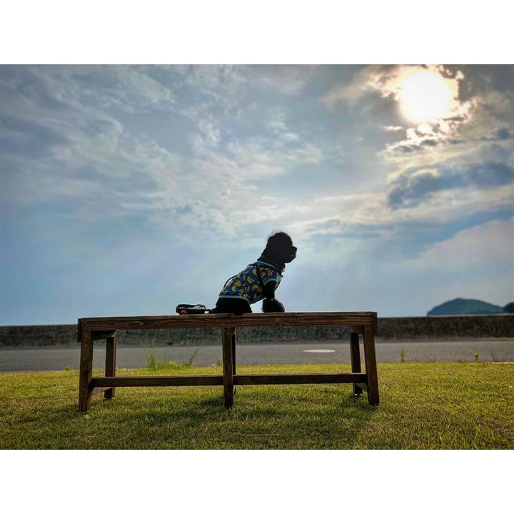 547a3266 3d7b 4898 8852 d89378bb7cf4 1590928412319