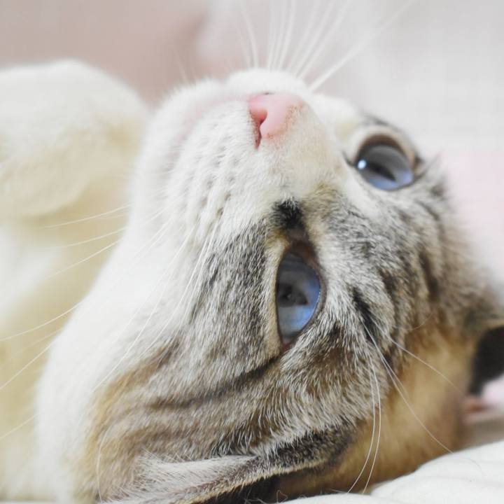 547a5b30 c96f 42a6 984a aea53f49910e 1527336402536