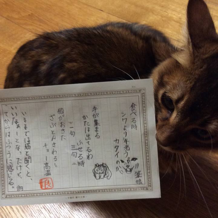 547a9172 c533 4fdc a56b 6f5ef79a8fb6 1567169487084