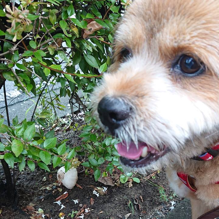 547ac06d c61a 482f a884 816f20db487e 1567415810938