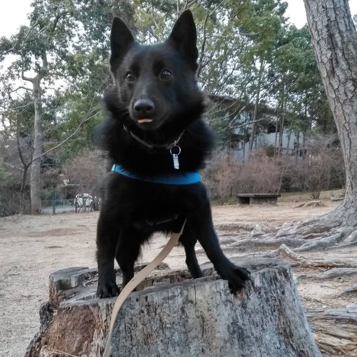 547ac99f 61b8 4ec5 aeb4 cd8d436ebfaa 1550272836529