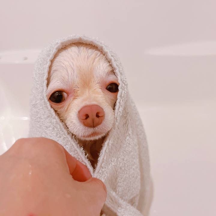 547af23a 4fc8 4ff2 bf29 2d9ed5bfcf57 1659442471978