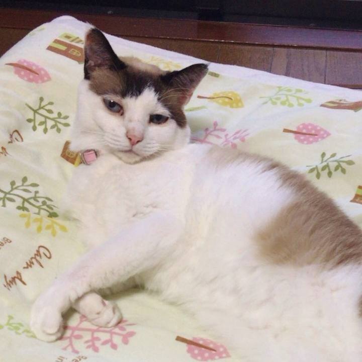 547b4a6f 5f06 46bc a7bc f987b16a0074 1757111141228