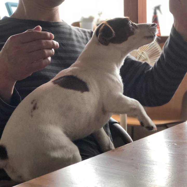 547b5540 da6a 4f33 b3ac 50f6a8b48aac 1537002253623