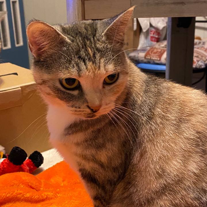 547ba970 2711 4634 b5f8 2c5ec2228c47 1577022158725