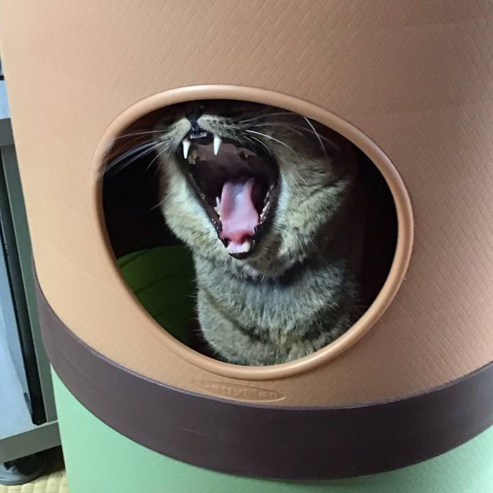 547bc334 cd3a 4079 aaa8 8dd33274fa76 1728205363900