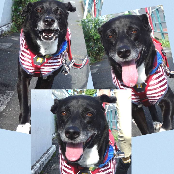 547bd223 3c25 4f56 b65c e6f347b3360a 1688258398106