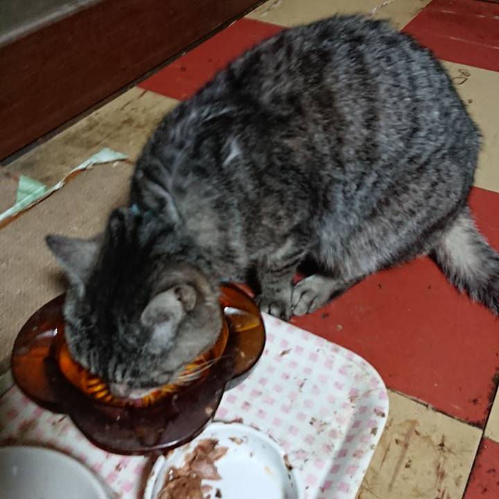 547be253 5be3 4f01 b404 5b2c3851181e 1551070121566