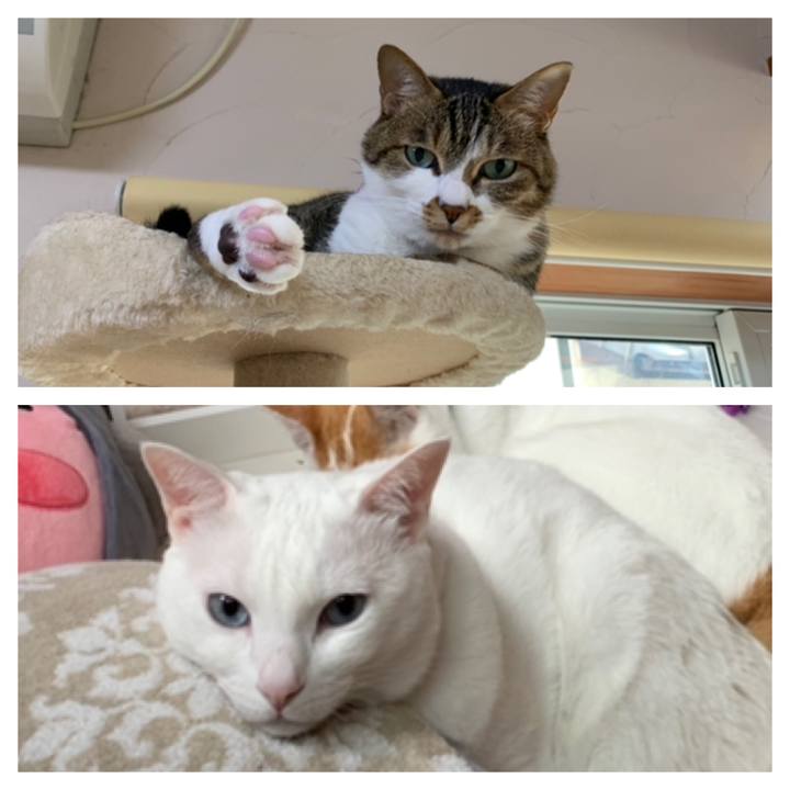 547c1508 7e19 4618 9edc aac692edefcf 1560204641161