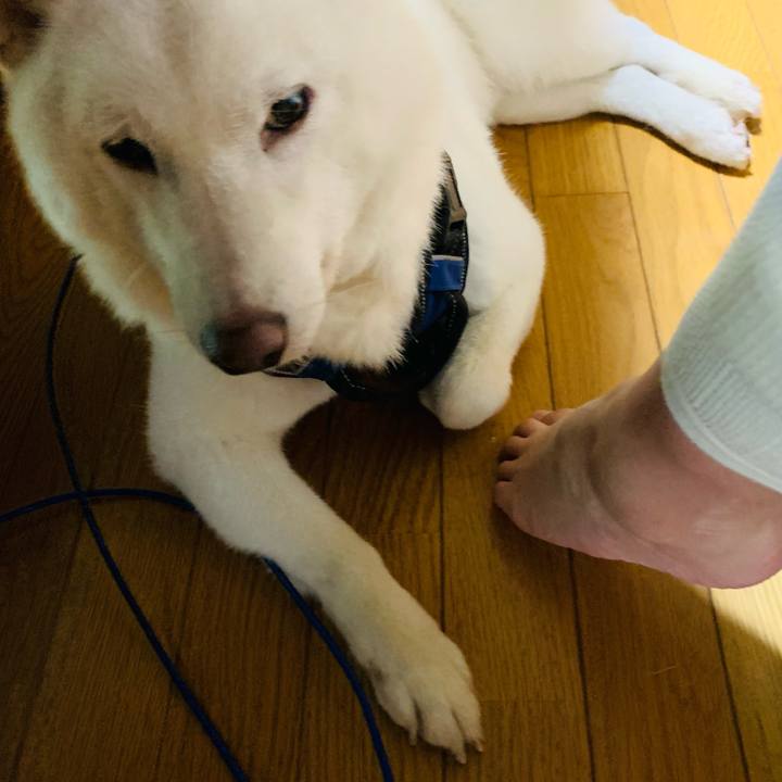 547c2ce8 8696 4017 8b9c a6d52ef14ce9 1661900700535