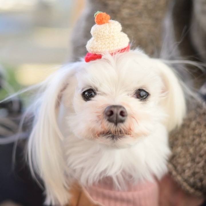 547c3c68 fe78 40bf be8c 91ba35657012 1767919922655