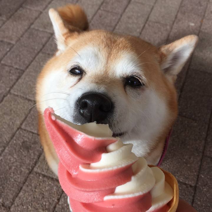 547c565b 727e 4614 945a 521c4b55982f 1642508149061