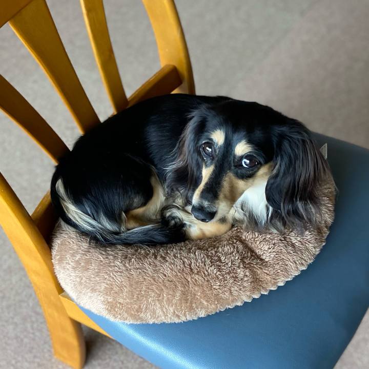 547c66b1 00ed 4091 ae24 2866f546cf85 1708307814981