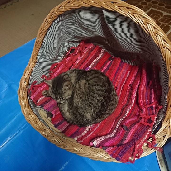 547cbd62 7313 43f2 9b90 74e23f5b25df 1557954392179