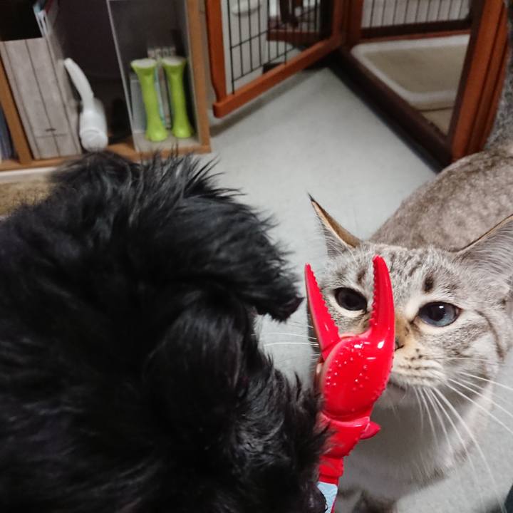 547cc480 d656 4e29 bca3 b5ea9cd29f4d 1544367671372