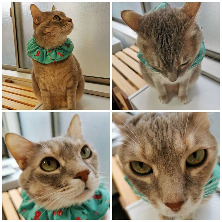 547cfd01 06e0 4b5a bea1 3505240975db 1675746735047