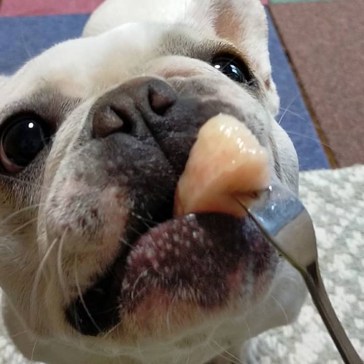 547d1cd5 5b3c 40ed b9b2 1b0231ba79ca 1658788882645