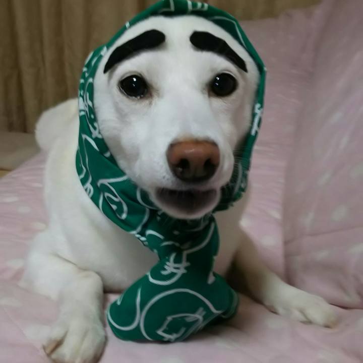 547d3814 70e3 46b1 8796 d5887d1aeb53 1535021474604